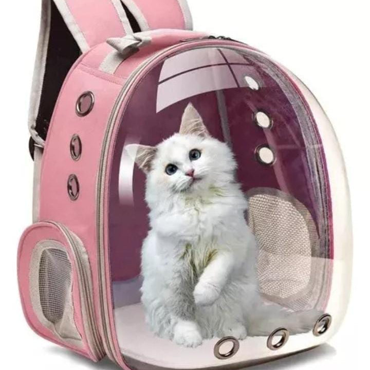 Morral mascotas tipo capsula