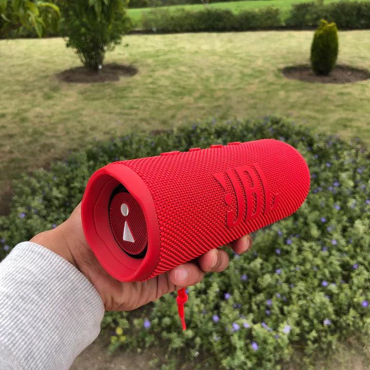 Parlante JBL FLIP 6 1.1